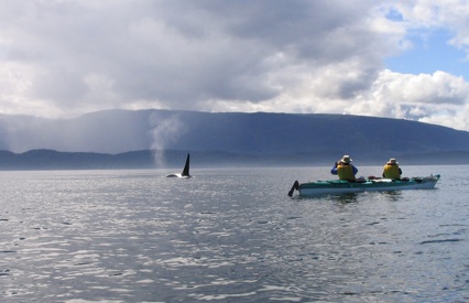 kayaking north island