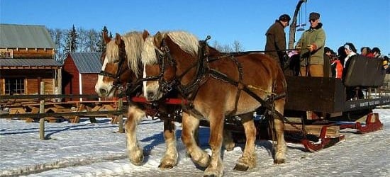 Double Tree Village Museum in red deer