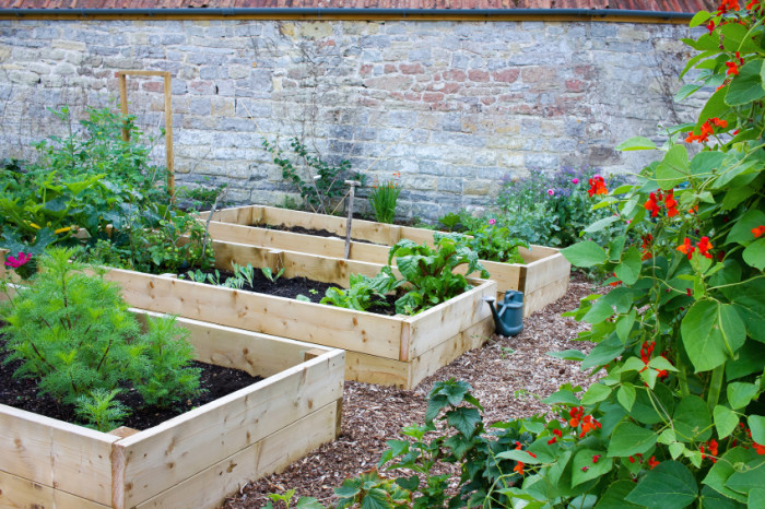 vegetable garden in west vancouver