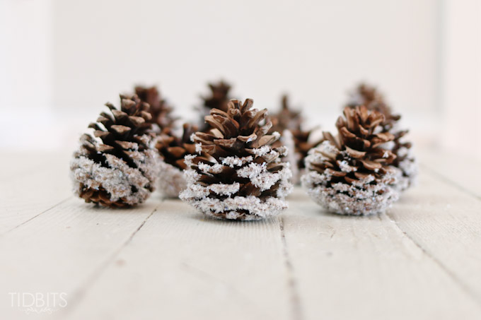 diy-snow-pinecones