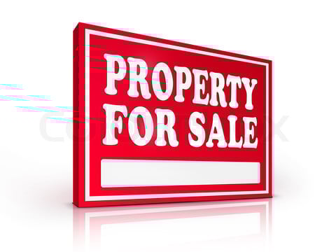 real-estate-agent